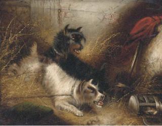 Edward Armfield - An Audacious Thief