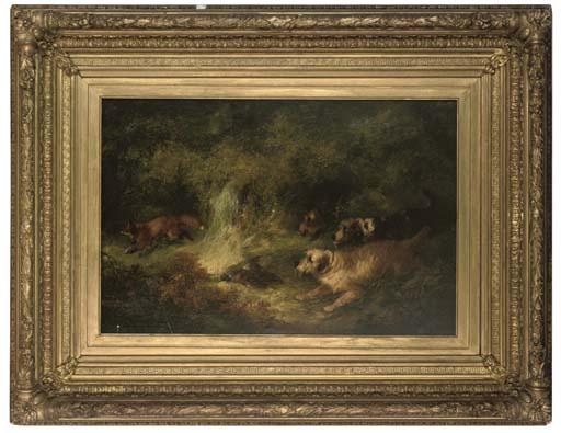 Edward Armfield - Breaking From Cover