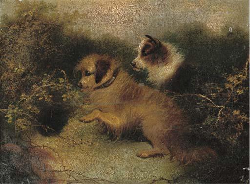 Edward Armfield - Eager Terriers Outside A Rabbit Hole; And Excited Terriers On The Scent