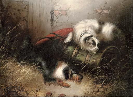 Edward Armfield - Hunting For Mice