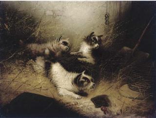 Edward Armfield - On The Scent