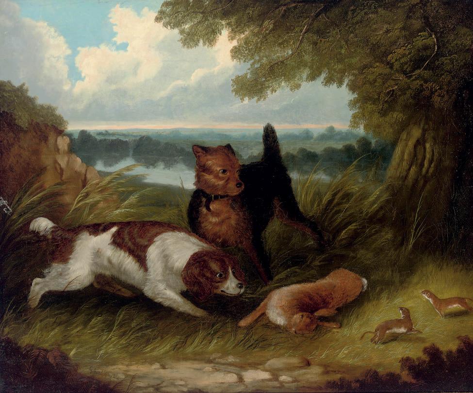 Edward Armfield - Rabbiting