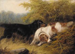 Edward Armfield - Setters on the scent