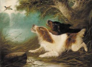 Edward Armfield - Spaniels flushing out a mallard
