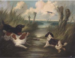 Edward Armfield - Spaniels putting mallards up