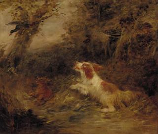 Edward Armfield - Spaniels Putting Pheasants Up; And Terriers Ratting In A Barn