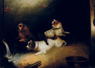 Edward Armfield - Terriers alert