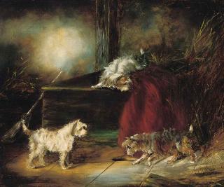 Edward Armfield - Terriers ratting