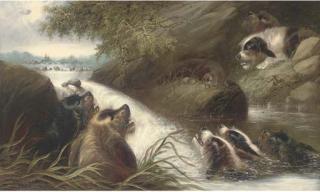 Edward Armfield - The Cornered Otter