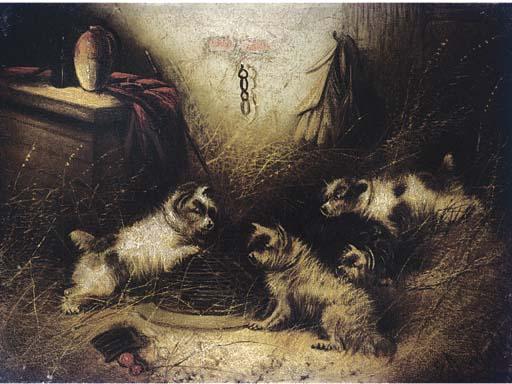 Edward Armfield - The Mouse Hunters