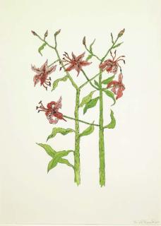 Edward Baynard - The Lilies (Tyler 78)