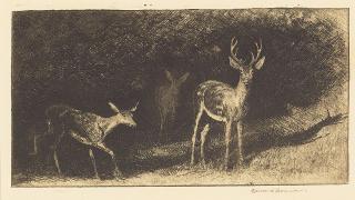 Edward Borein - Untitled (Bucking Horse); Black Tail Deer 2