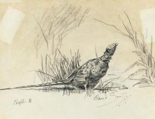 Edward Brian Seago, R.W.S., R.B.A. - Two illustrations of birds for \'I Walked by Night\' (one illustrated)