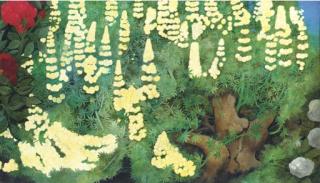 Edward Burra - Lupins And Peonies