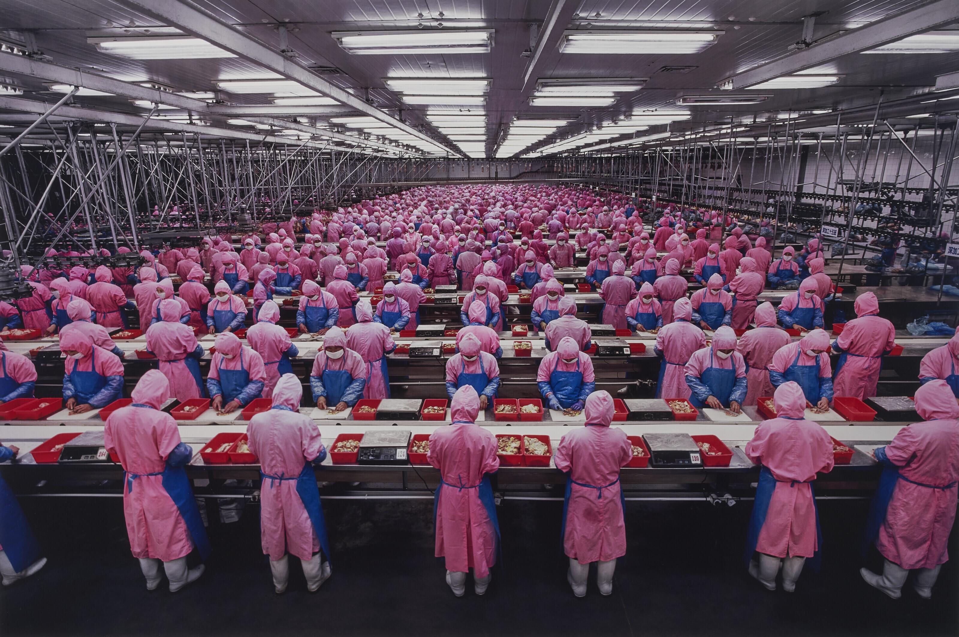 Edward Burtynsky - Manufacturing #17, Deda Chicken Processing Plant, Dehui City, Jilin Province, China, 2005