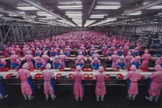 Edward Burtynsky - Manufacturing #17, Deda Chicken Processing Plant, Dehui City, Jilin Province, China, 2005