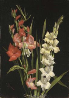 Edward Chalmers Leavitt - Still Life with Gladiolas