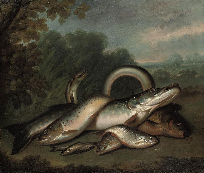 Edward Coleman - The day\'s catch