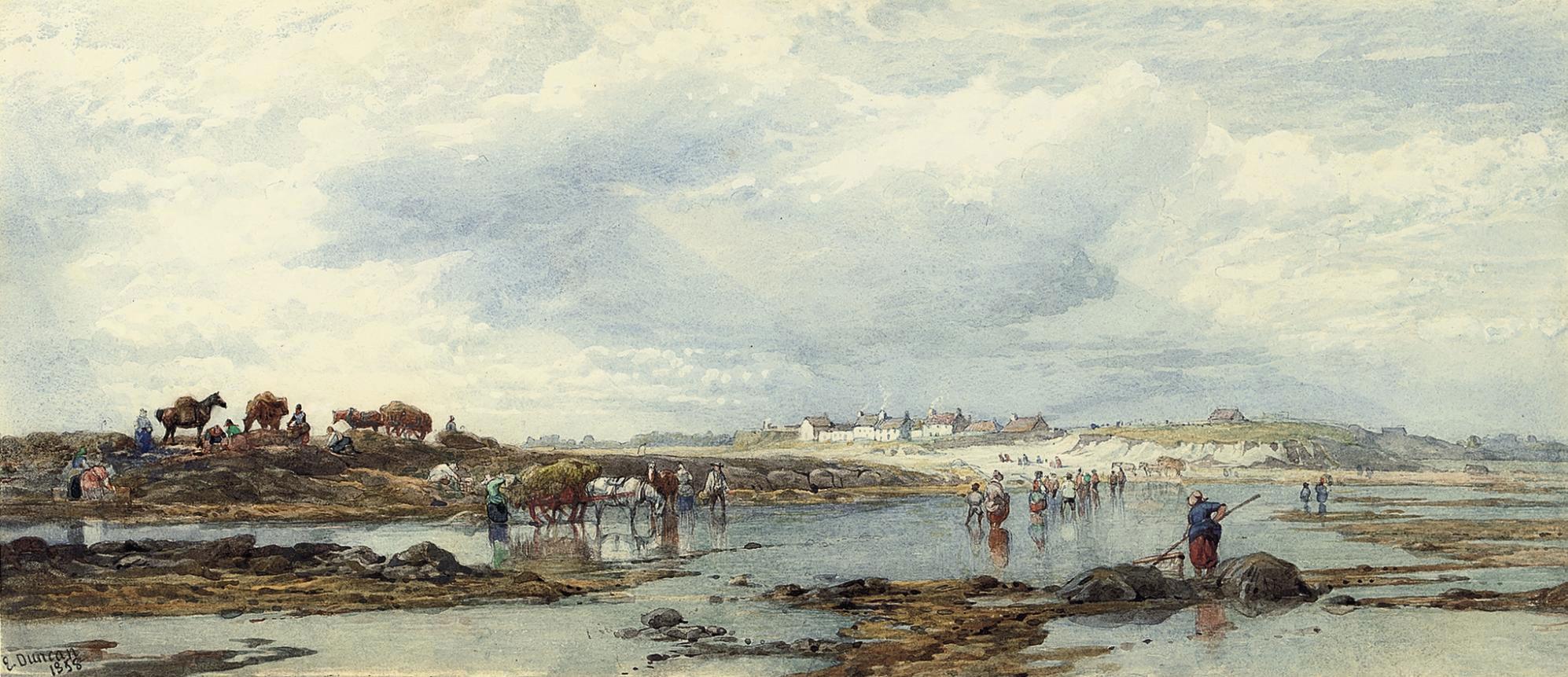 Edward Duncan - Vraic gathering, Guernsey