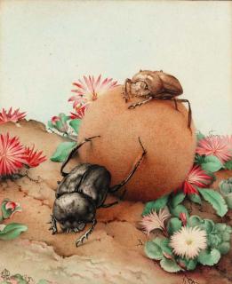 Edward Julius Detmold - Beetles on a gall