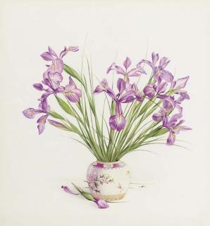 Edward Julius Detmold - Irises in a Chinese vase (illustrated); and Olivia lilies in a turquoise vase