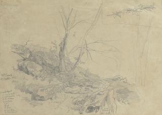 Edward Lear - A rocky slope
