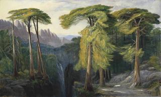 Edward Lear - The Forest of Bavella