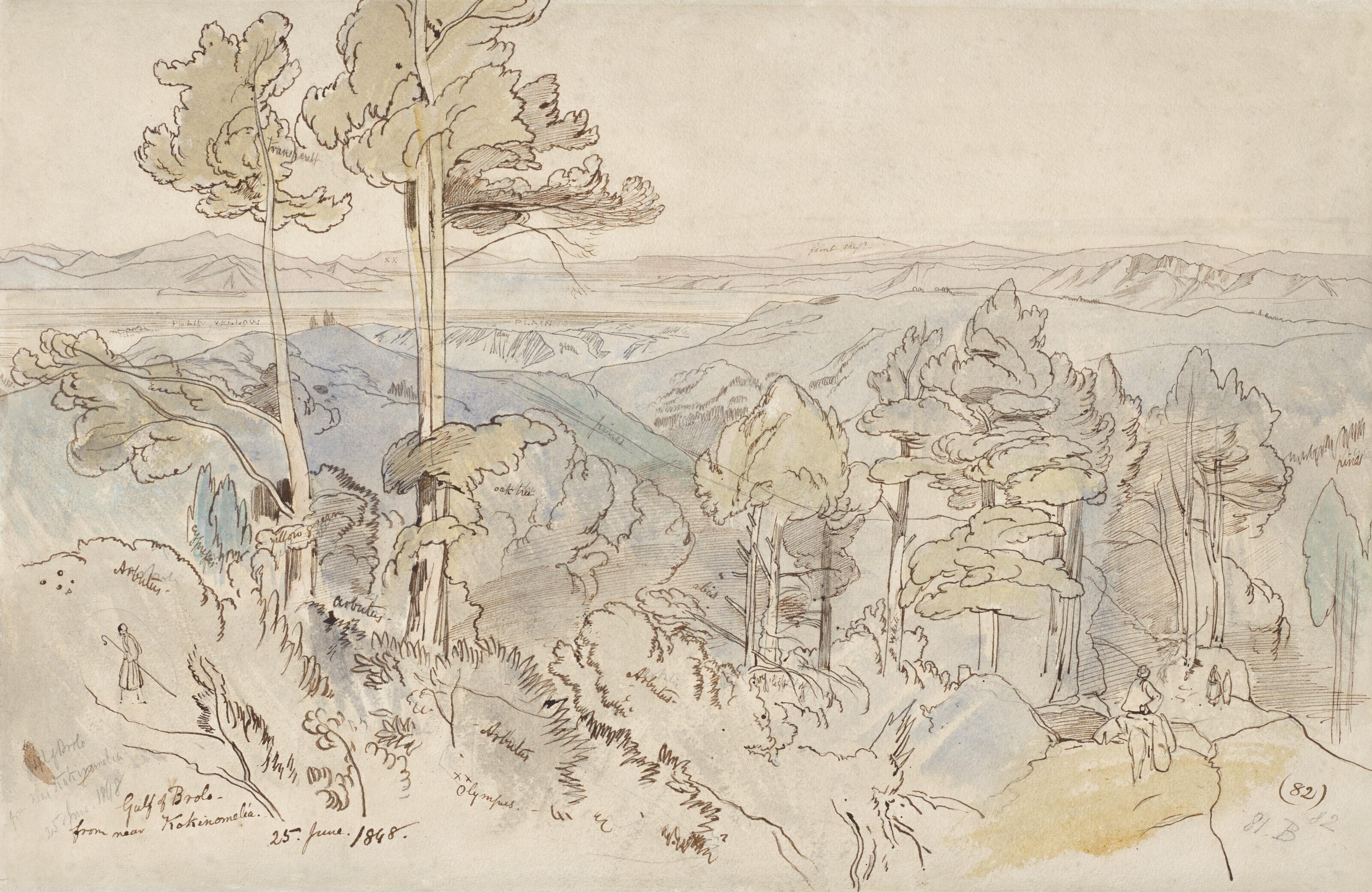 Edward Lear - The Gulf of Brolo from near Kokkinomilia