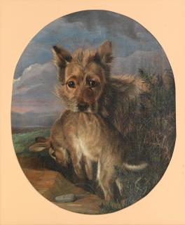 Edward Lloyd Of Ellesmere - Norwich Terrier with Rabbit