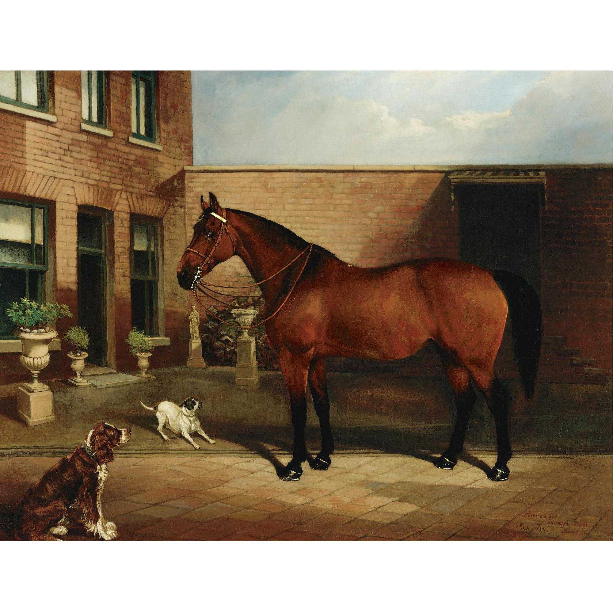 Edward Lloyd - British Polly, Rose And Wasp In A Courtyard