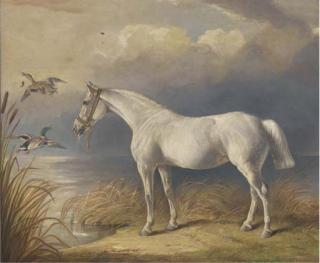 Edward Lloyd - Disturbed