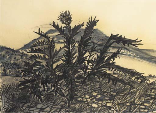 Edward Middleditch, R.A., A.R.C.A. - Thistles, Guadalajara