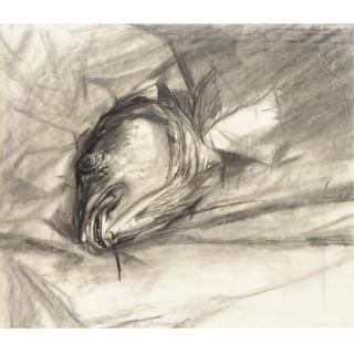 Edward Middleditch - Cod\'S Head