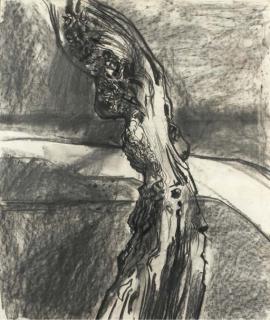 Edward Middleditch - Olive Tree, Ronda, Spain