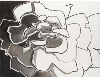 Edward Middleditch - Two roses