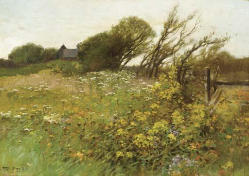 Edward Percy Moran - Wildflower Field in Bloom