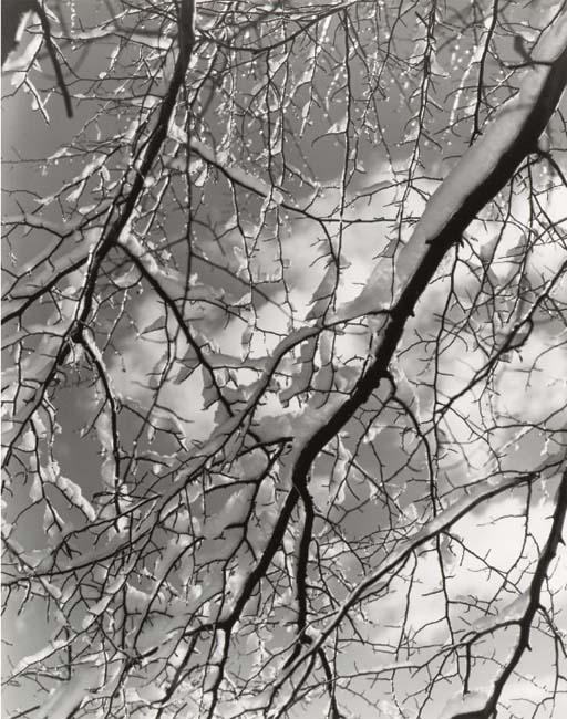 Edward Quigley - Untitled, 1945