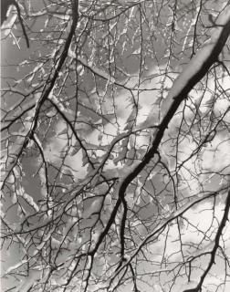 Edward Quigley - Untitled, 1945