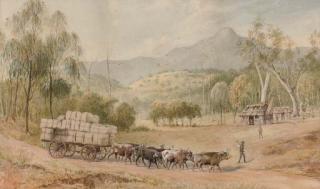 Edward Roper - Bringing the wool down, Mount Arrarat in the distance, Victoria