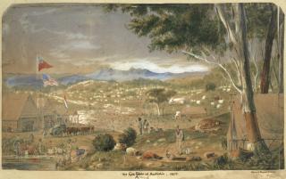 Edward Roper - The Goldfields Of Australia, Ararat