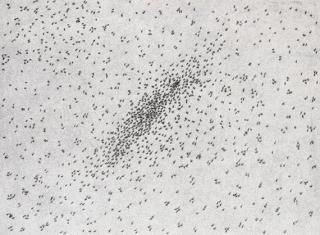 Edward Ruscha - Insect Slant