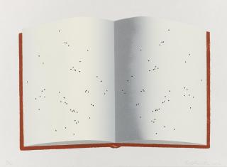 Edward Ruscha - Open Book With Worm Holes.