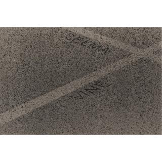 Edward Ruscha - Selma Meets Vine