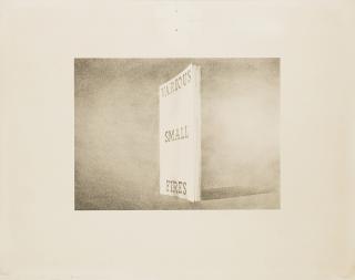Edward Ruscha - Various Small Fires