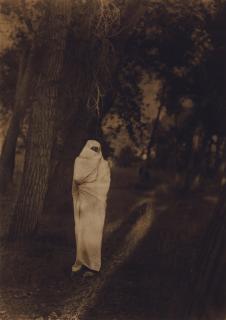 Edward S. Curtis - Waiting in the Forest, Cheyenne, The North American Indian, Plate 218, 1910