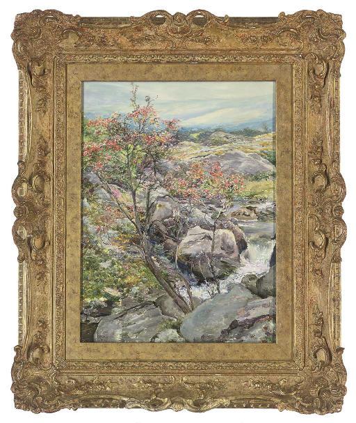 Edward Steel Harper - A Rowan tree, Nantcol, Llanbedr