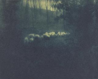 Edward Steichen - Pastoral - Moonlight