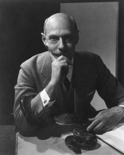 Edward Steichen - Raymond Ditmars, Vanity Fair