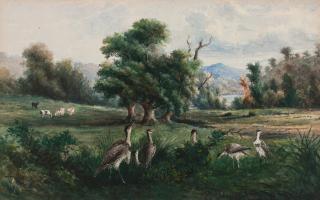 Edward Thomson - On Rocky Creek — a Troupe of Bustards