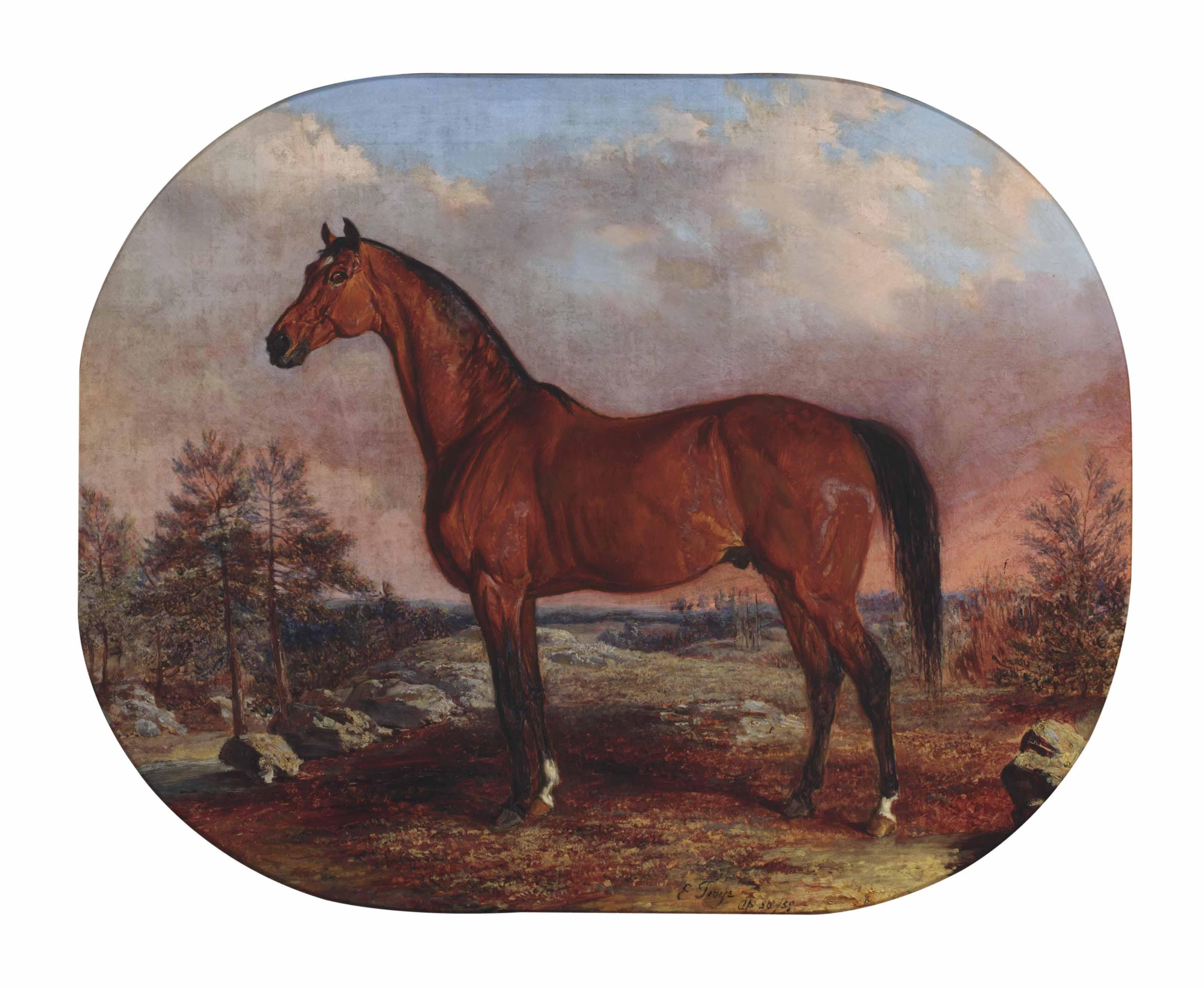Edward Troye - Horse in a landscape